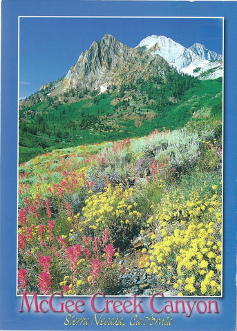 5X7 McGee Creek Canyon Postcard 