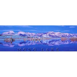 Mono Lake Winter Bookmark