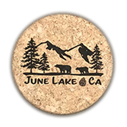 June Lake Mountain Coaster