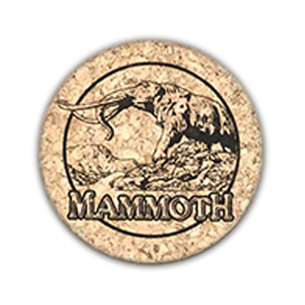 Woolly Mammoth Coaster