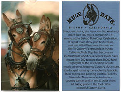 Mule Days Playing Cards 