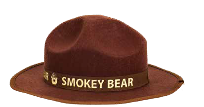 Smokey Ranger Hat