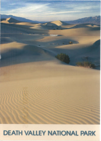 5X7 Death Valley Sand Dunes Postcard 