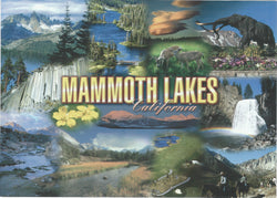 5X7 Mammoth Lakes Collage Postcard 