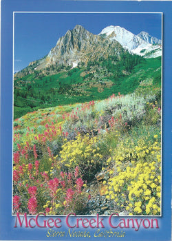 5X7 McGee Creek Canyon Postcard 