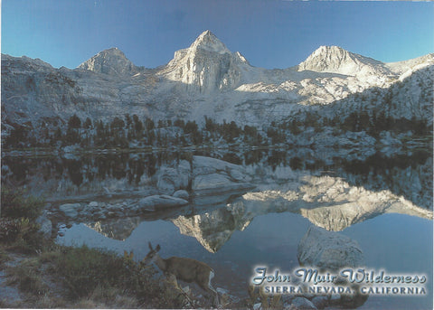5X7 Sierra Mountain Peak Postcard 