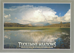 5X7 Tuolumne Meadows Postcard 