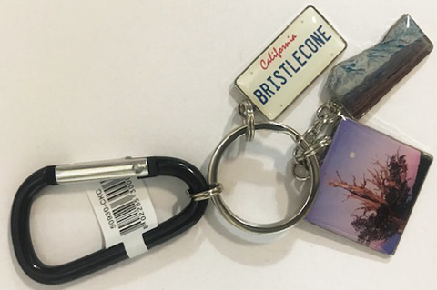 Bristlecone Charm Keychain