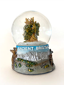Bristlecone Snow Globe