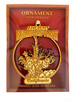 Wood ornament Bristlecone