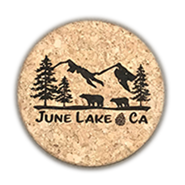 June Lake Mountain Coaster