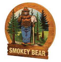 Smokey Wooden Round Magnet