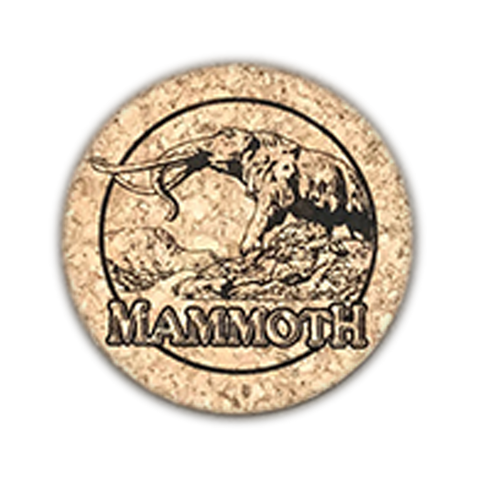 Woolly Mammoth Coaster