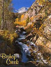 Bishop Creek Magnet