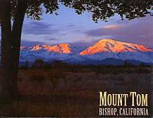 Mount Tom Bishop Magnet 