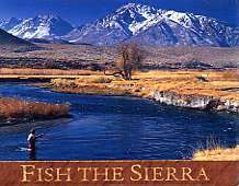 Fish The Sierra Magnet 