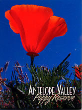Antelope Valley Poppy Reserve Magnet 