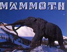 Mammoth Statue Magnet 