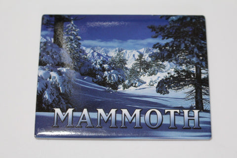 Mammoth Snow Magnet 