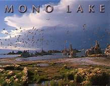 Mono Lake Cloudy Magnet-QTY=10