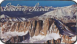 Eastern Sierra Mints 