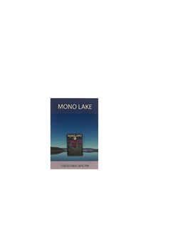 Mono Lake Pin