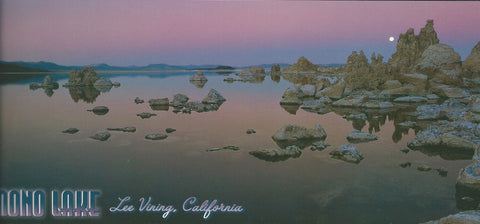 Panoramic Mono Lake Postcard 