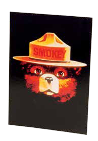 Smokey CLASSIC Smokey Postcard-QTY=50