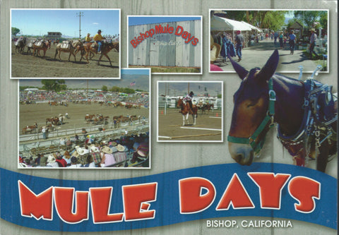 Bishop Mule Days Fair Postcard-QTY=50