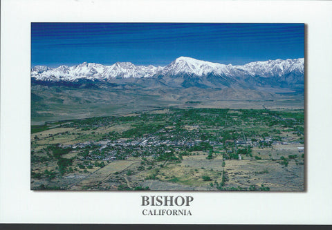 Bishop Scenic Postcard-QTY=50