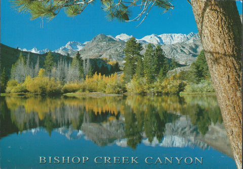 Bishop Creek Canyon Postcard-QTY=50