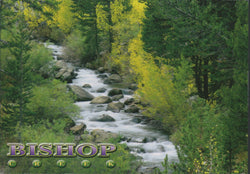 Bishop Creek Postcard-QTY=50