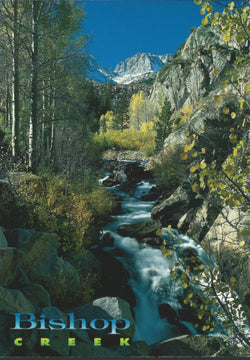 Bishop Creek Stream Postcard-QTY=50
