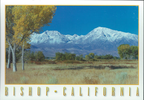 Bishop Mountain Range Postcard-QTY=50