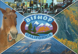 Bishop Collage Postcard-QTY=50