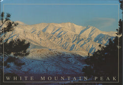White Mountain Peak Bishop Postcard-QTY=50