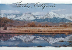 Bishop Reflection Postcard-QTY=50