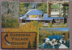 Bishop Cardinal Village Resort Postcard-QTY=50
