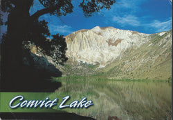 Convict Lake Mountain Postcard-QTY=50