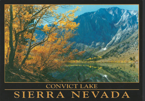 Convict Lake Fall Postcard-QTY=50