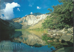 Convict Lake Afternoon Postcard-QTY=50