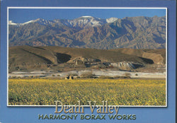 Harmony Borax Death Valley Postcard-QTY=50