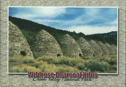 Death Valley Charcoal Kilns Postcard-QTY=50