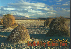 Devil's Cornfield Death Valley Postcard-QTY=50