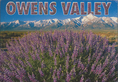 Owens Valley Flowers Eastern Sierra Postcard-QTY=50