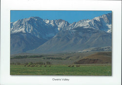 Owens Valley Wildlife Postcard-QTY=50