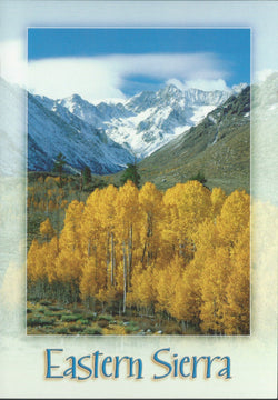 Eastern Sierra Fall Postcard-QTY=50