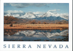 Sierra Nevada Lake Postcard-QTY=50