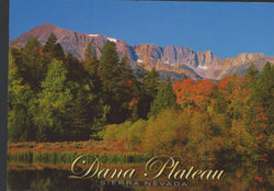 Dana Plateau Sierra Nevada Postcard-QTY=50