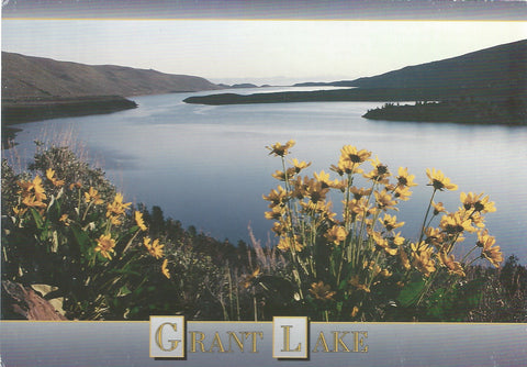 June Lake Grant Lake Postcard-QTY=50